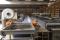 IMG_9354_flow-freezer-1080kw.jpg